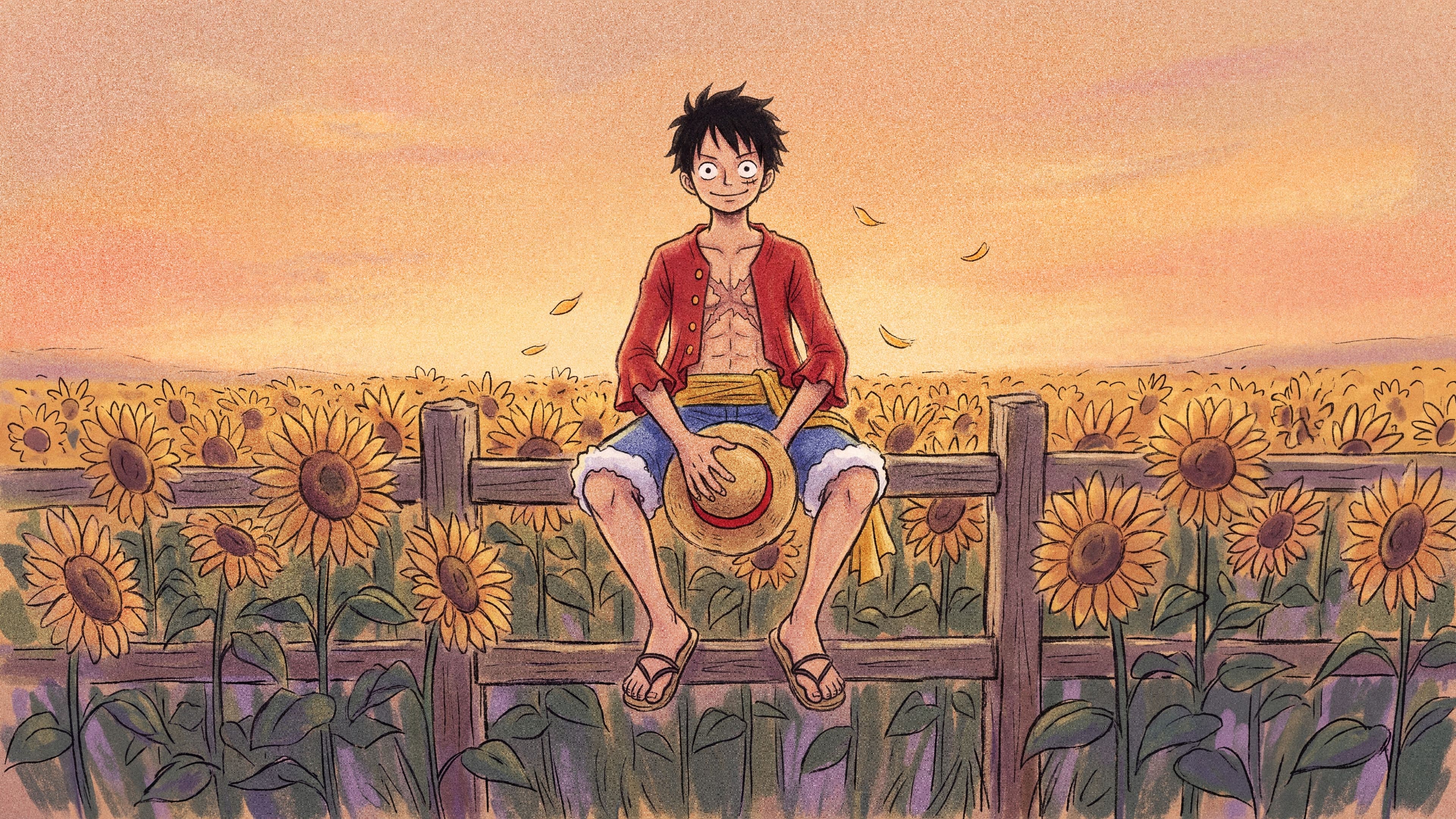 Monkey D. Luffy desktop wallpaper: Luffy sitting on a wooden fence in a sunflower field at golden hour, holding his straw hat
