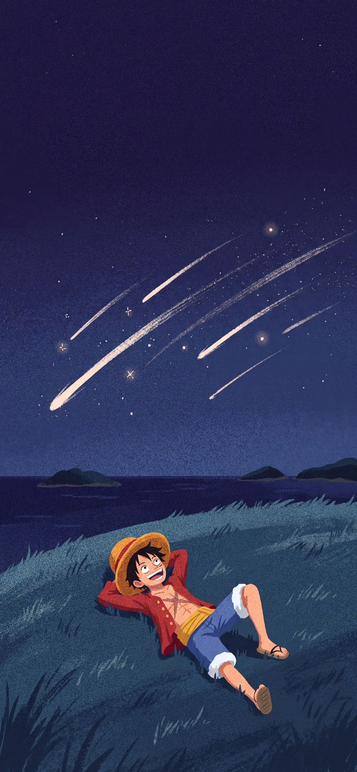 Monkey D. Luffy wallpaper: Luffy lying on a grassy hilltop by the sea at night, watching a meteor shower
